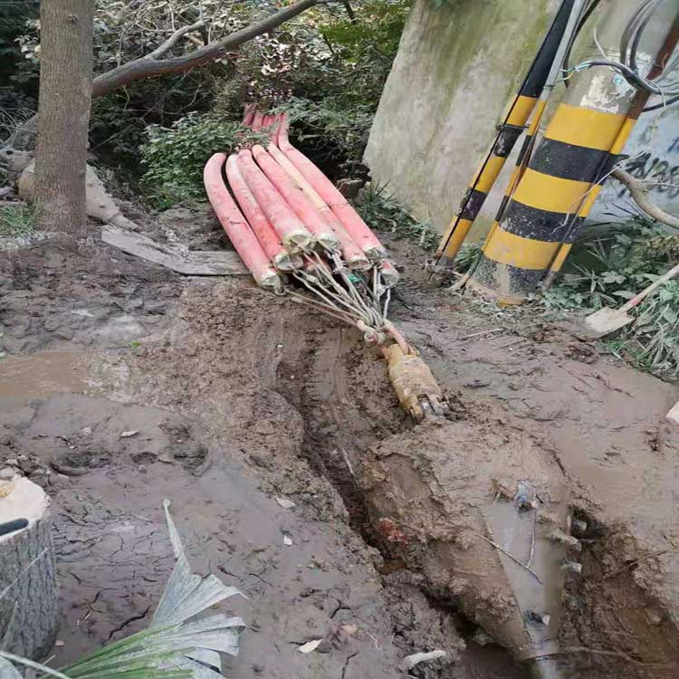 神农架冷库自动武汉拖拉管